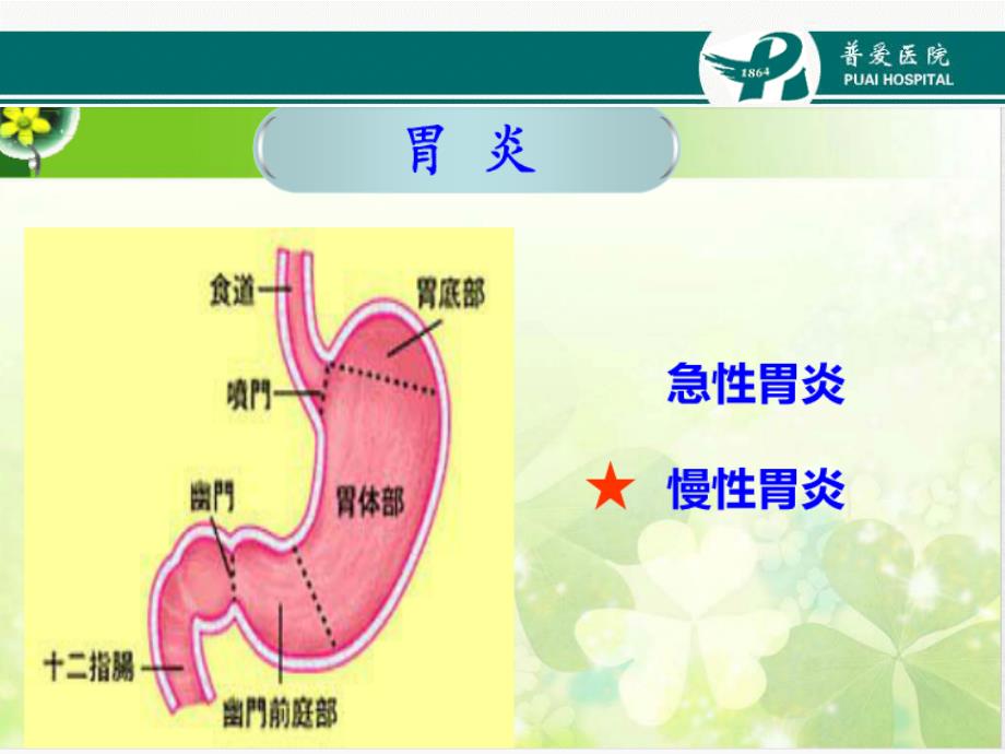 慢性胃炎的护理ppt培训课件_第3页