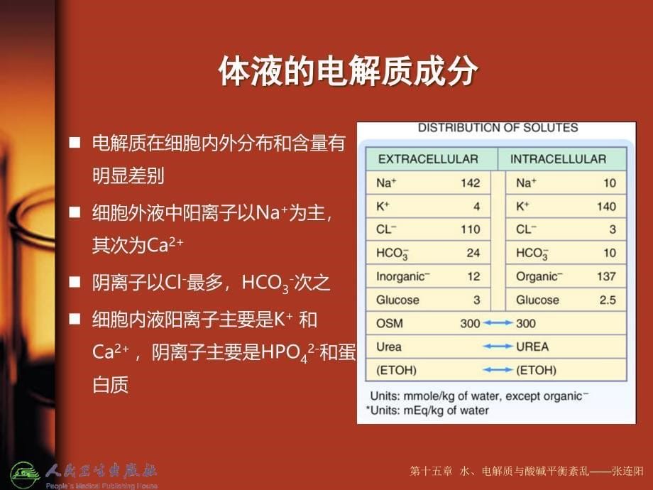 水电解质及酸碱平衡紊乱_第5页