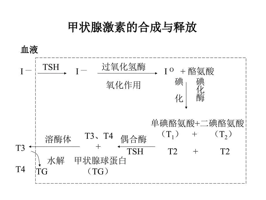 先天性甲状腺功能减低症-呆小病,克汀病(NXPowerLite)_第5页