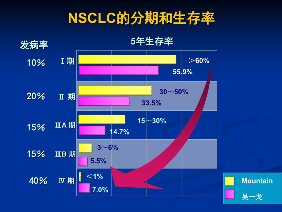 晚期nsclc治疗中常见问题解析_第4页