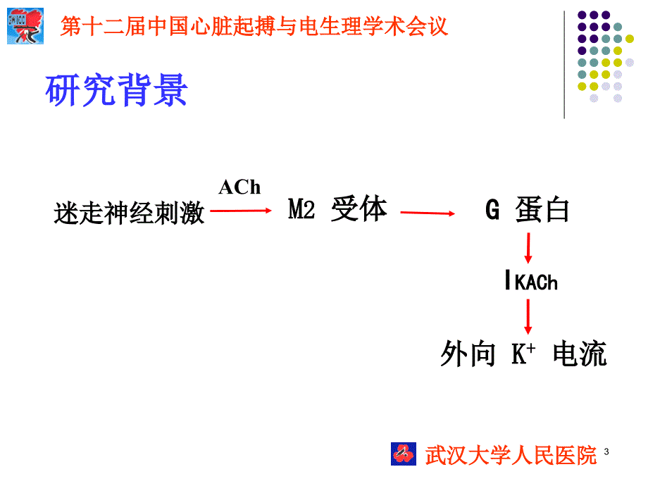 刺激迷走神经对心房肌电生理_第3页