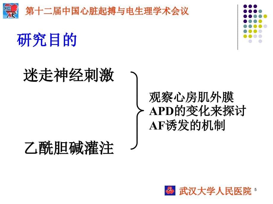 刺激迷走神经对心房肌电生理_第5页