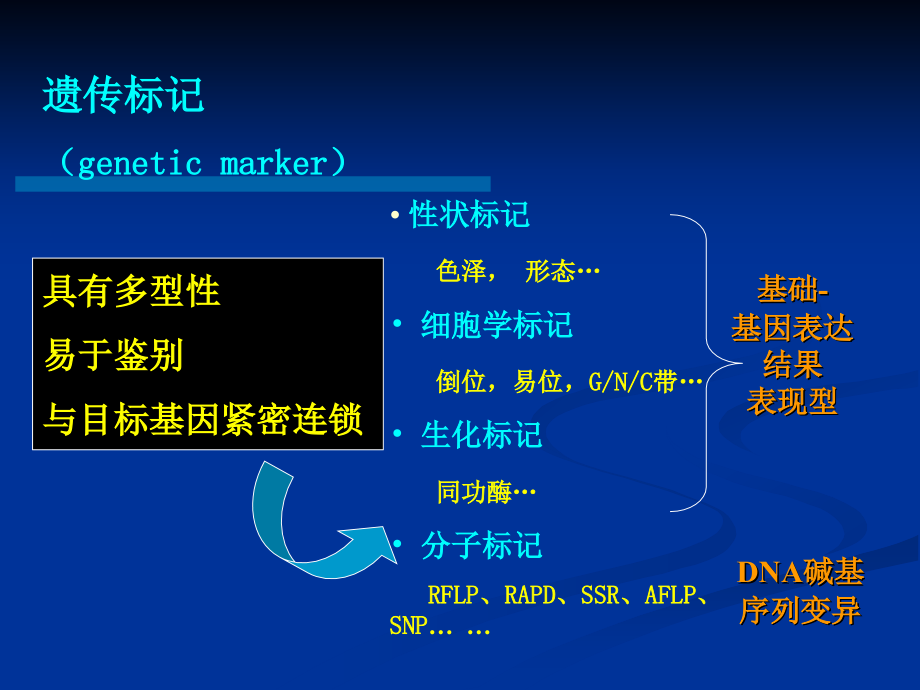 分子标记及其在植物遗传育种中的应用_第2页