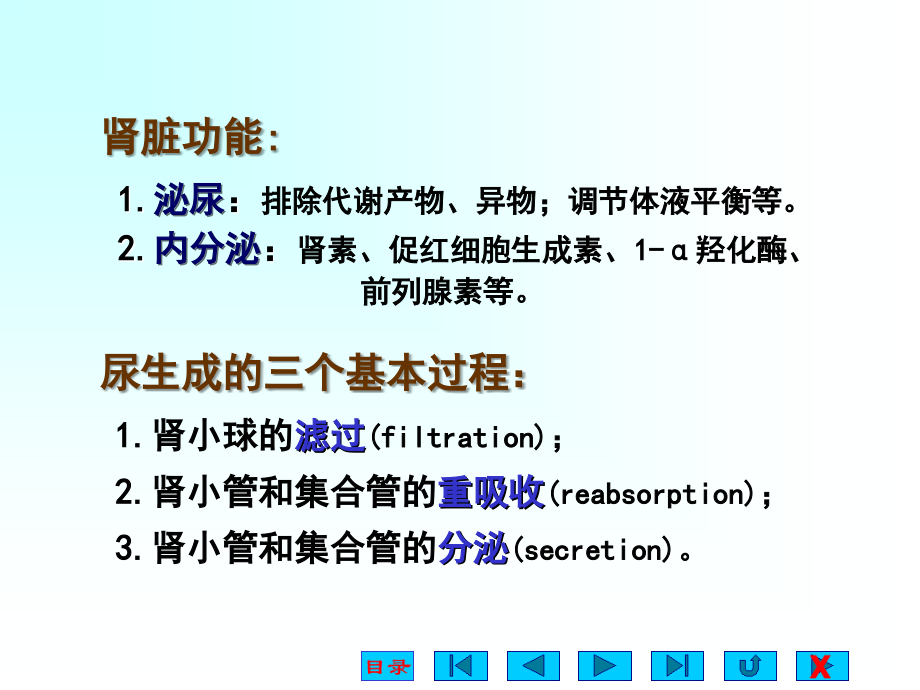 生理关于尿生成的相关问题72p_第3页