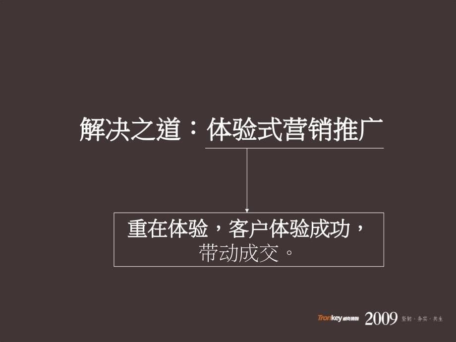 创奇扬智2009年卓越蔚蓝海岸年度推广案ppt培训课件_第5页