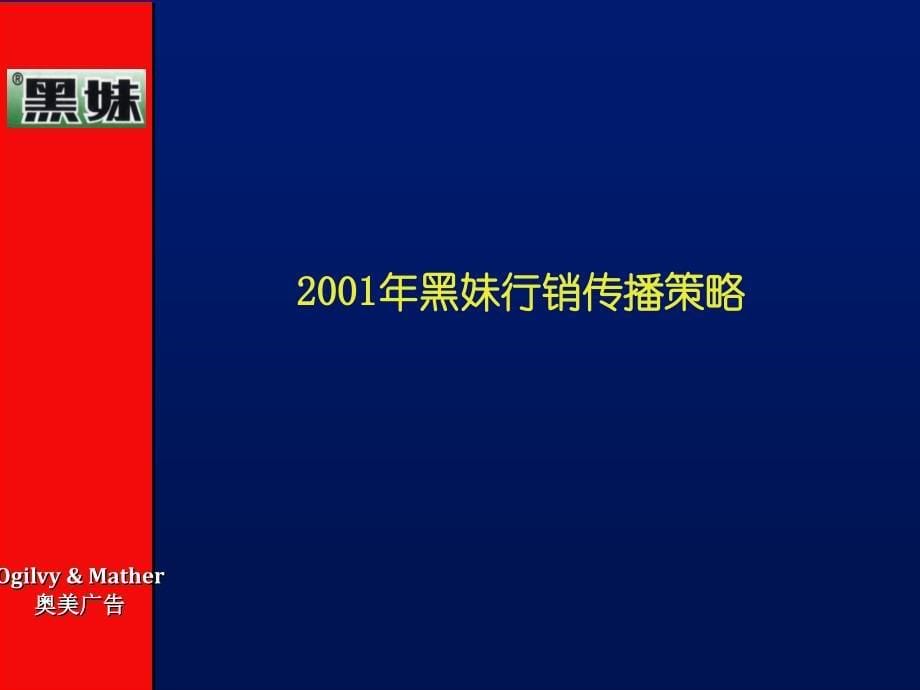 黑妹牙膏2001年年度广告计划提案_第5页