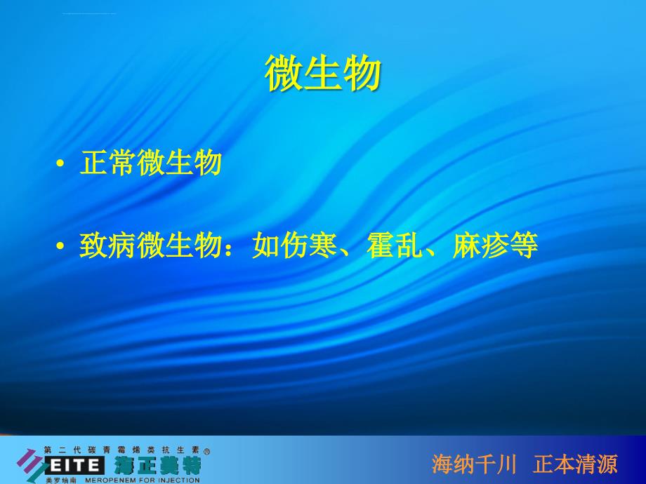 海正药业-海正美特市场推广ppt培训课件_第2页