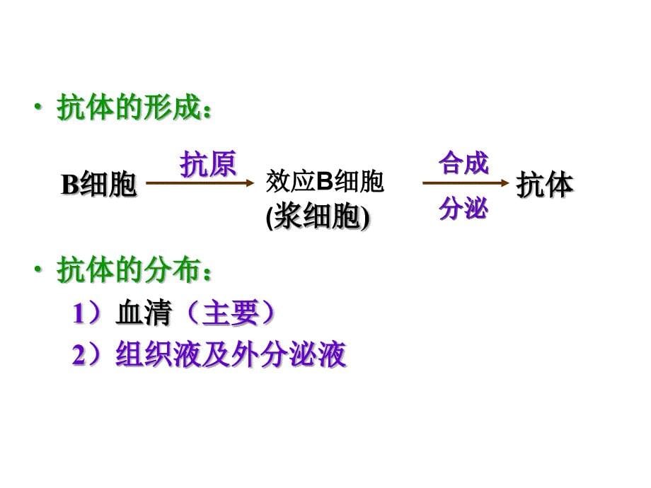 免疫系统与免疫功能(好)_第5页