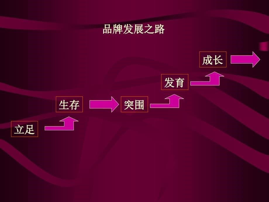 长双鹿业2003品牌战略思考_第5页