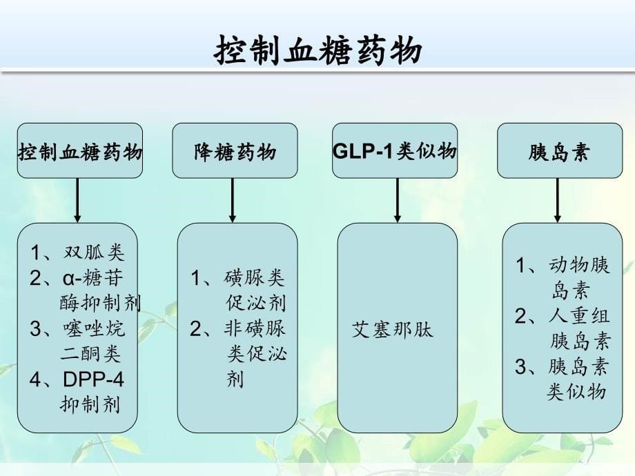 血糖升高糖尿病治疗ppt培训课件_第5页