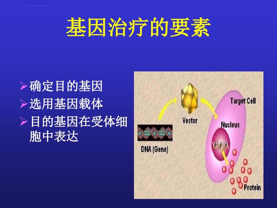 肺癌的基因治疗ppt培训课件_第4页