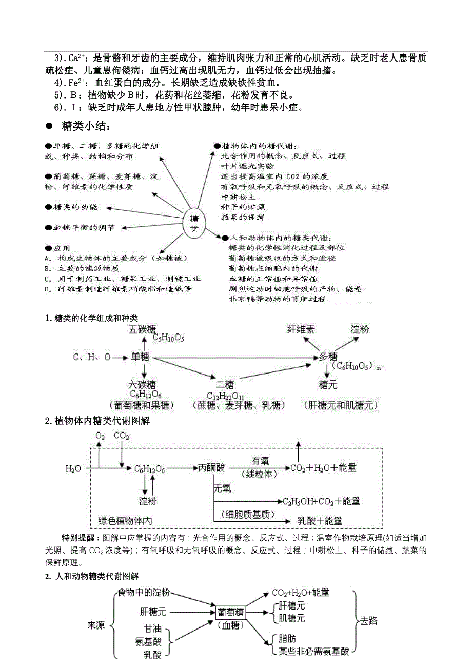 人教版教学教案2011届新课标高考专题总复习一_第4页