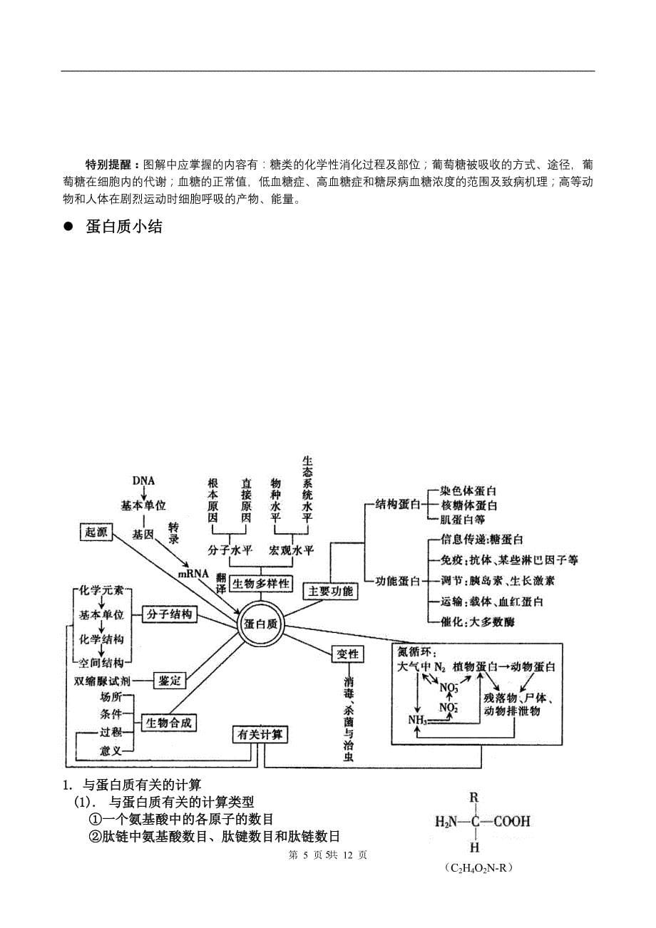 人教版教学教案2011届新课标高考专题总复习一_第5页