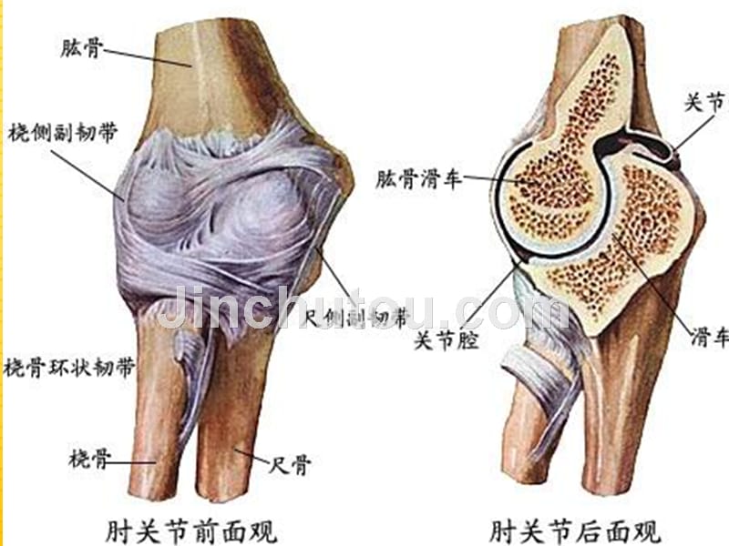 肘关节骨折ppt课件_第4页