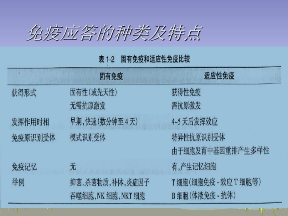 免疫学基础ppt课件_第5页