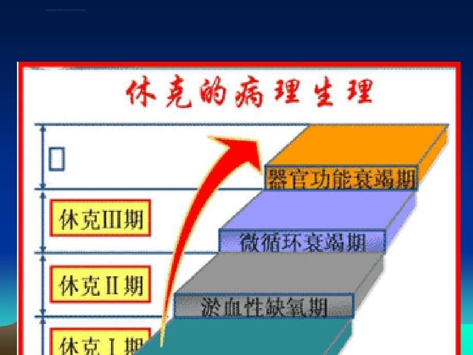 过敏性休克的抢救(ppt课件)_第5页