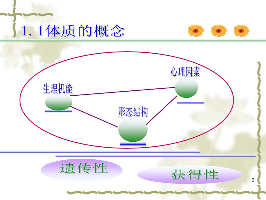 学生体质健康标准简介_第3页