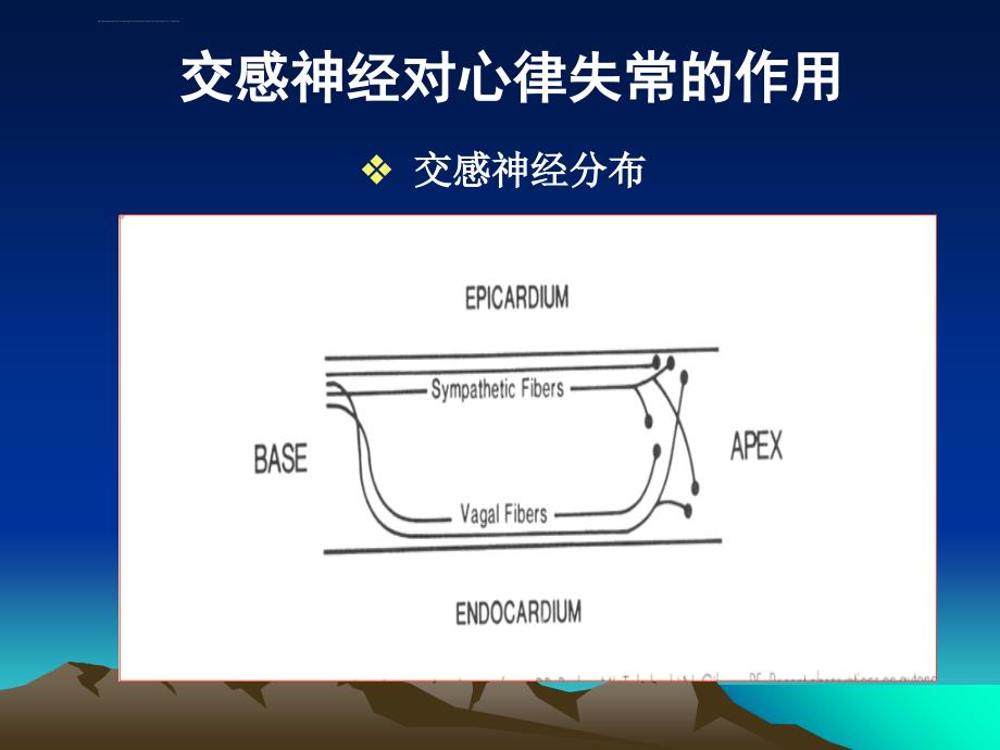 自主神经与快速心律失常ppt培训课件_第4页