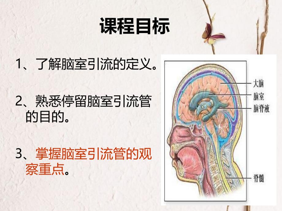 脑室引流管的观察重点ppt培训课件_第2页