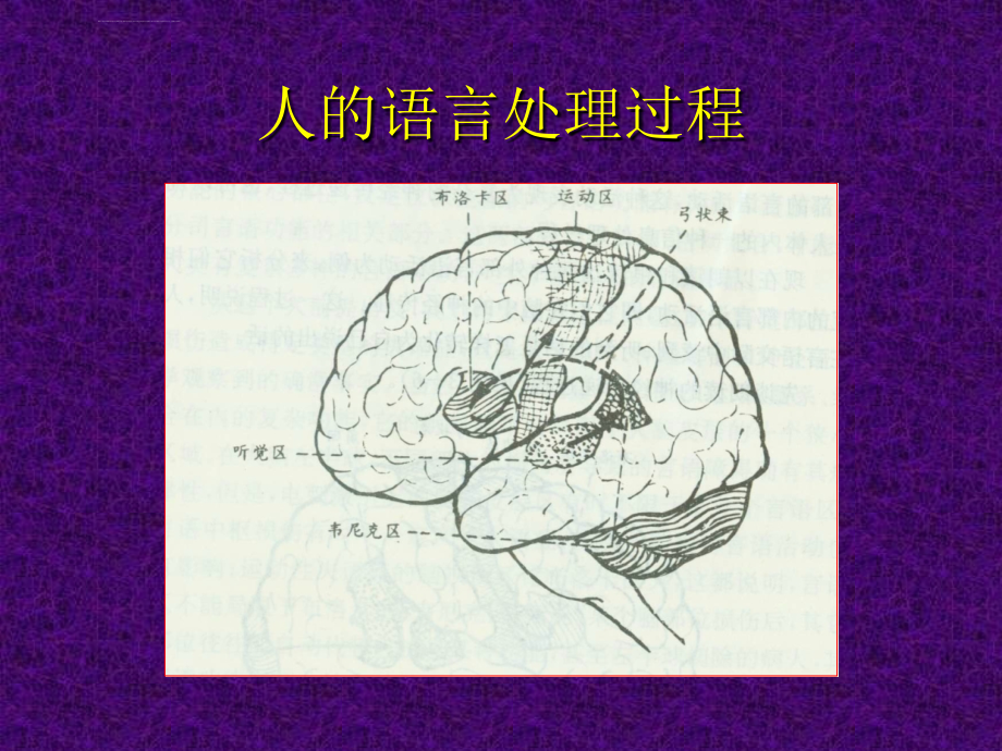 言语障碍的评定ppt培训课件_第4页