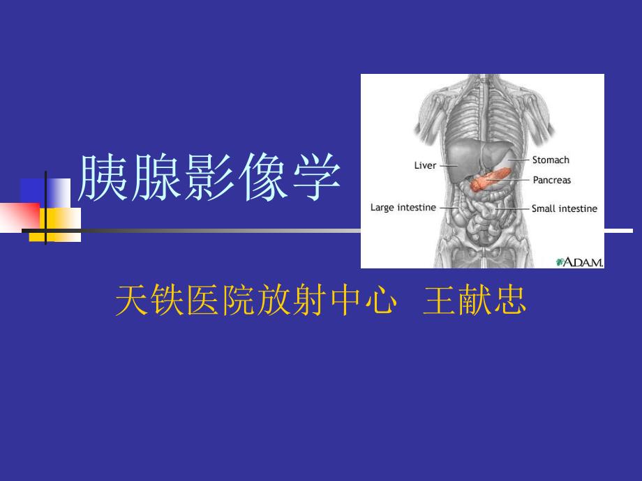 胰腺影像学ppt培训课件_第1页