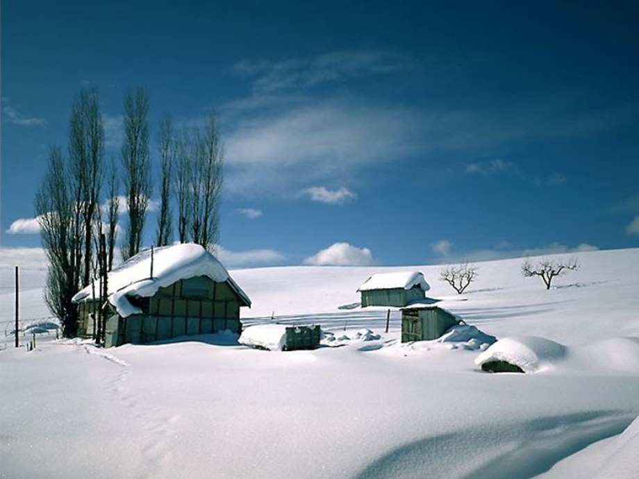 我为你建了一座心的小屋_第2页