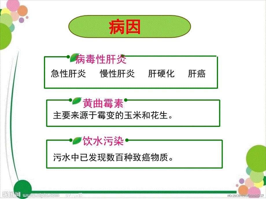 肝癌的护理医学幻灯片ppt培训课件_第5页