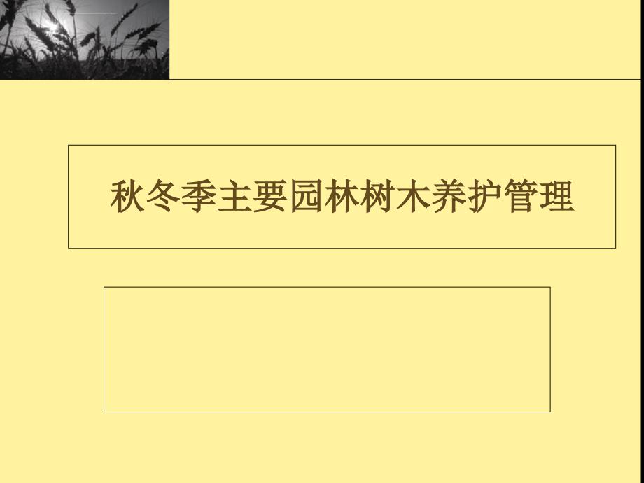 冬季园林树木养护管理ppt培训课件_第1页