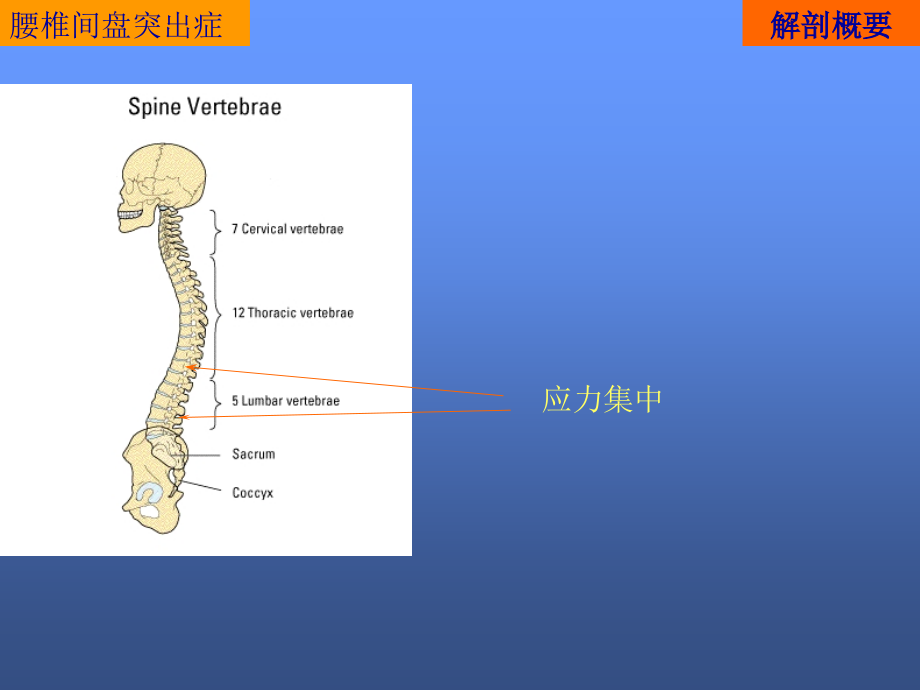 腰椎间盘突出症的诊断和治疗ppt课件_第4页