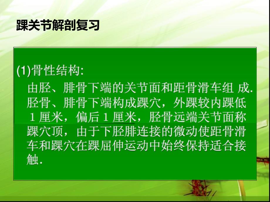 踝关节骨折的分型讲课用ppt培训课件_第3页