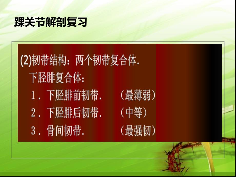 踝关节骨折的分型讲课用ppt培训课件_第4页