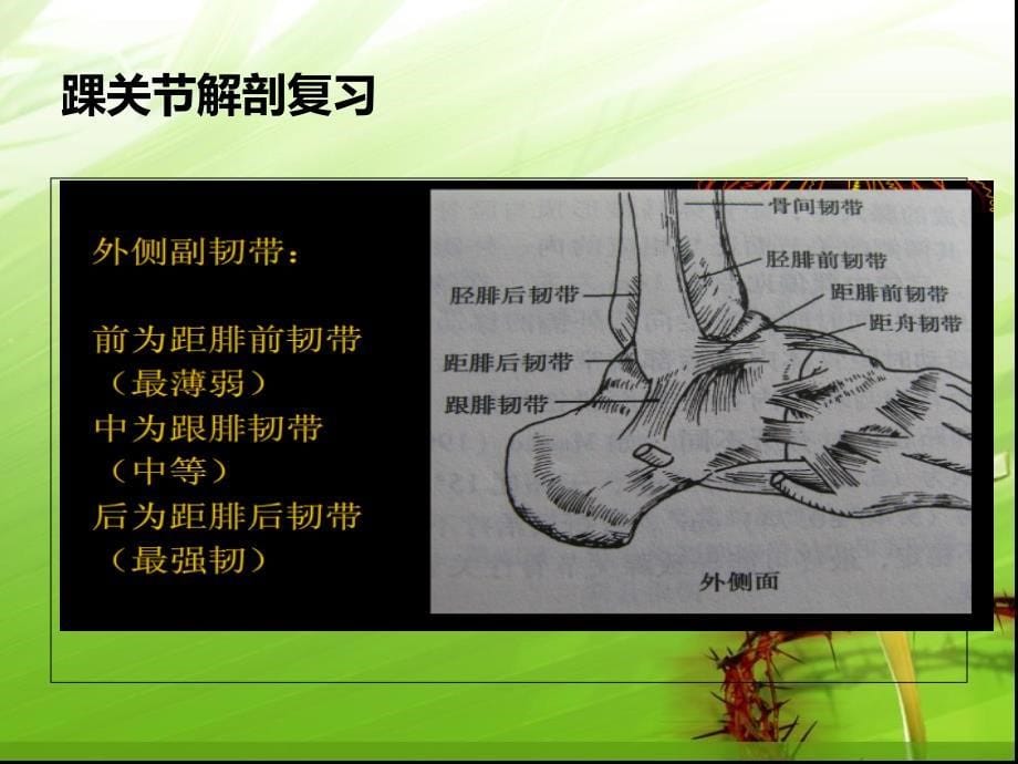 踝关节骨折的分型讲课用ppt培训课件_第5页