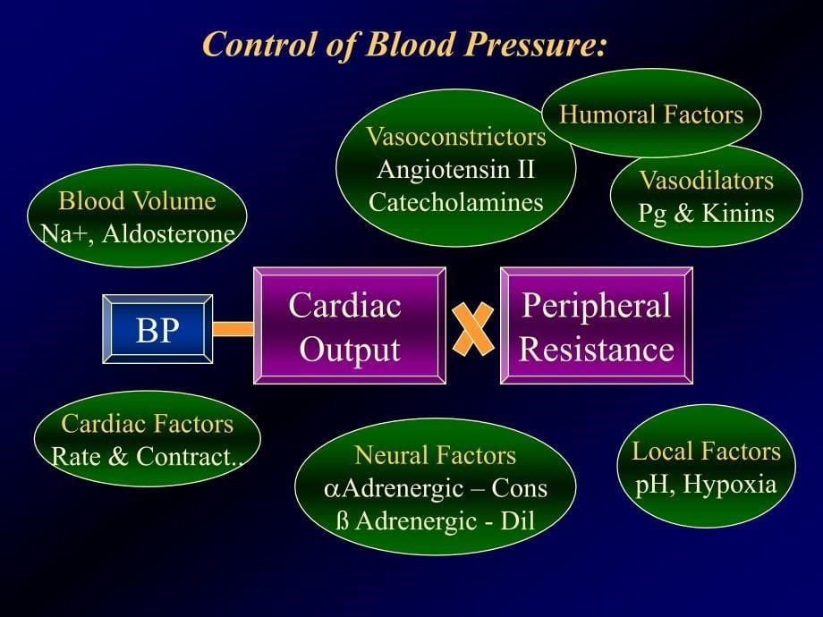高血压病理学ppt培训课件_第5页