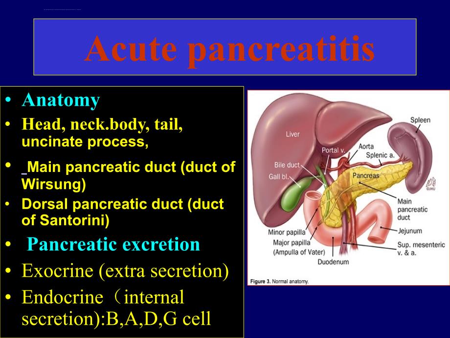 胰腺疾病-外科教学课件_第2页