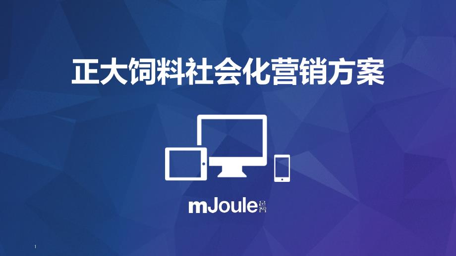 正大饲料社会化营销方案final_第1页