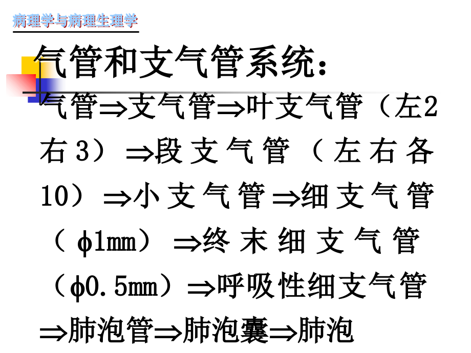 慢性支气管炎肺炎课件_第3页