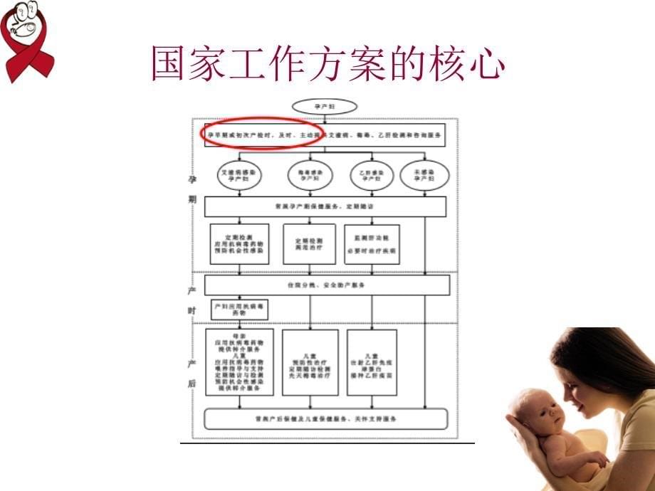 艾滋病母婴阻断项目成绩与挑战课件_第5页