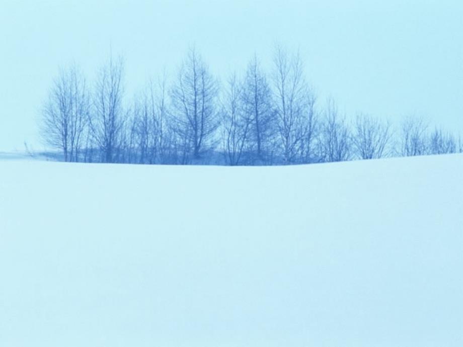 雪地里的小画家课件_1_第2页