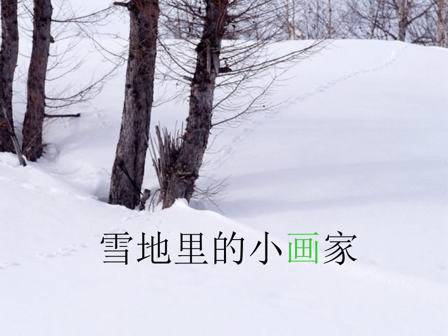 雪地里的小画家课件_1_第3页