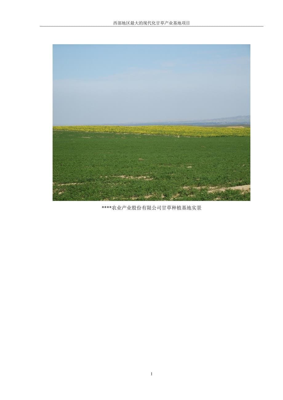 农业产业循环经济项目商业计划书(毕业设计论文word版)_第5页