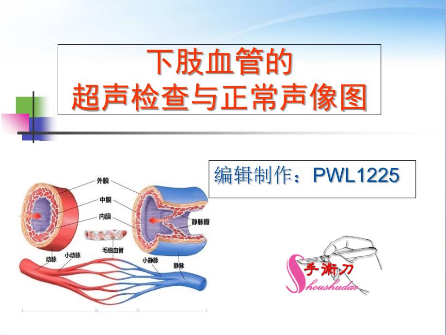 下肢血管的超声检查及正常声像图课件_第1页