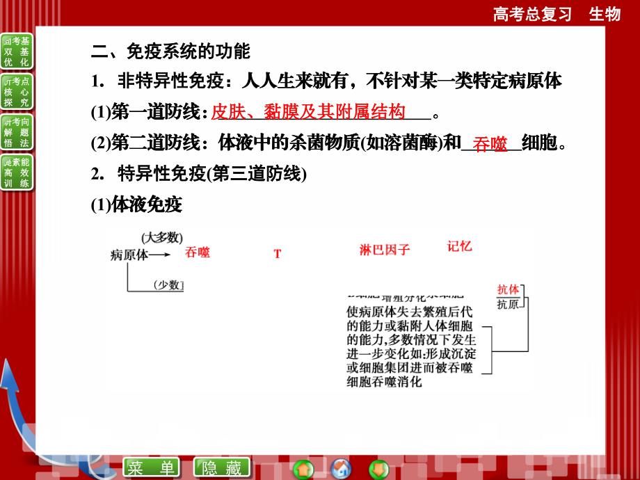 优化探究2015届高考生物一轮复习配套课件必修三第2章_第3讲免疫调节_第3页