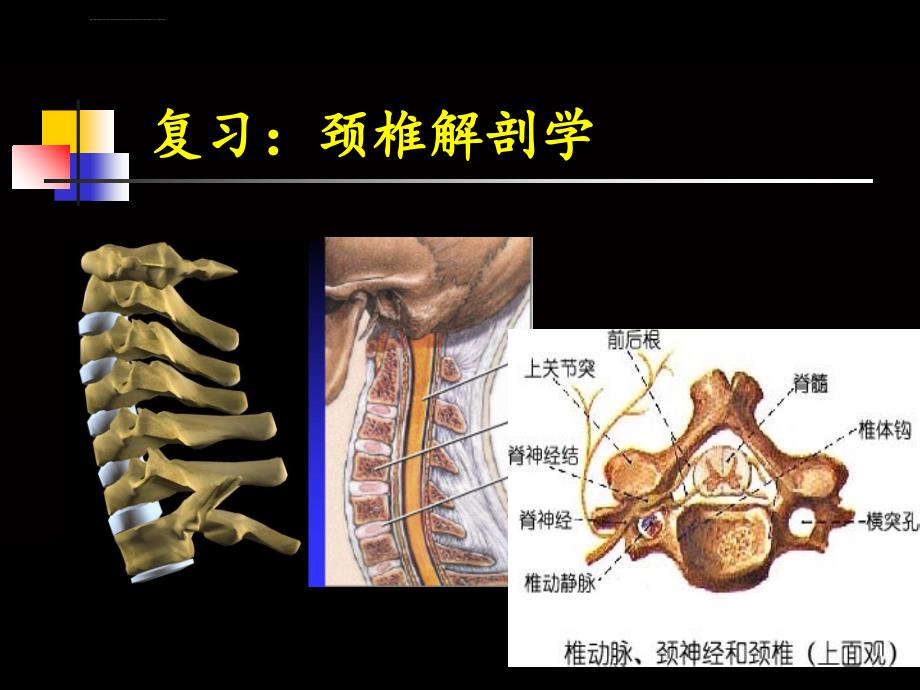 赵小燕颈椎病康复正式版_第4页