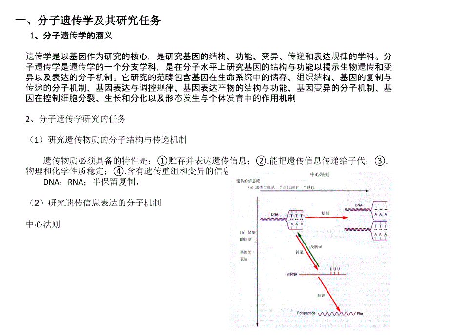 分子遗传学讲义课件_第2页