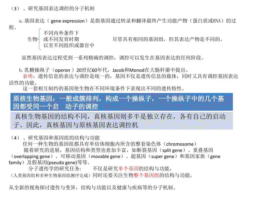 分子遗传学讲义课件_第3页