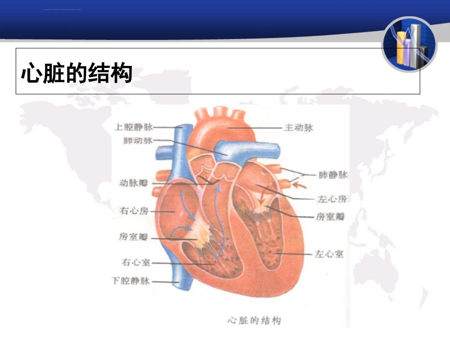 常见的心脏外科疾病简述课件_第3页