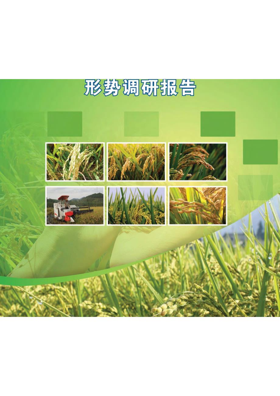 2014年东北粳稻生产形势调研报告_第1页