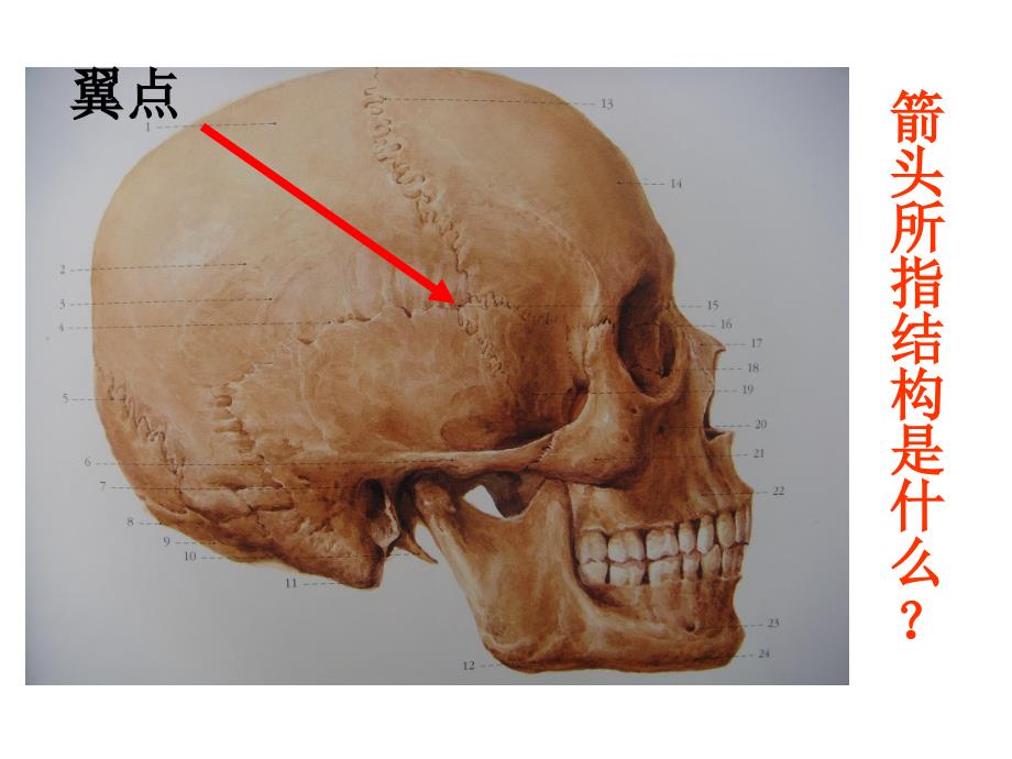 局解实验考试第3套（1）_第2页