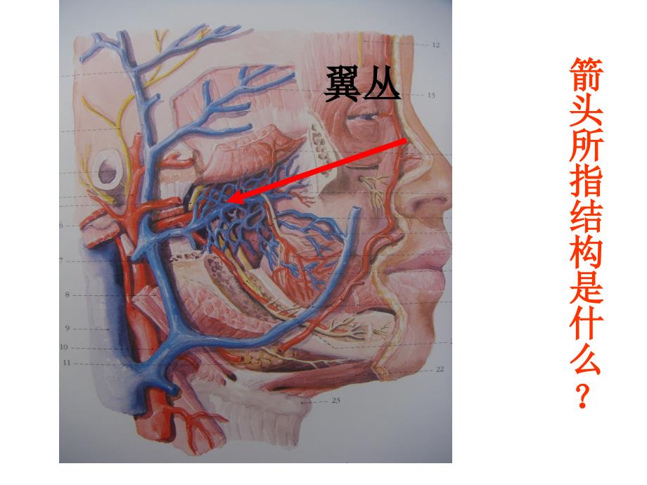 局解实验考试第3套（1）_第4页