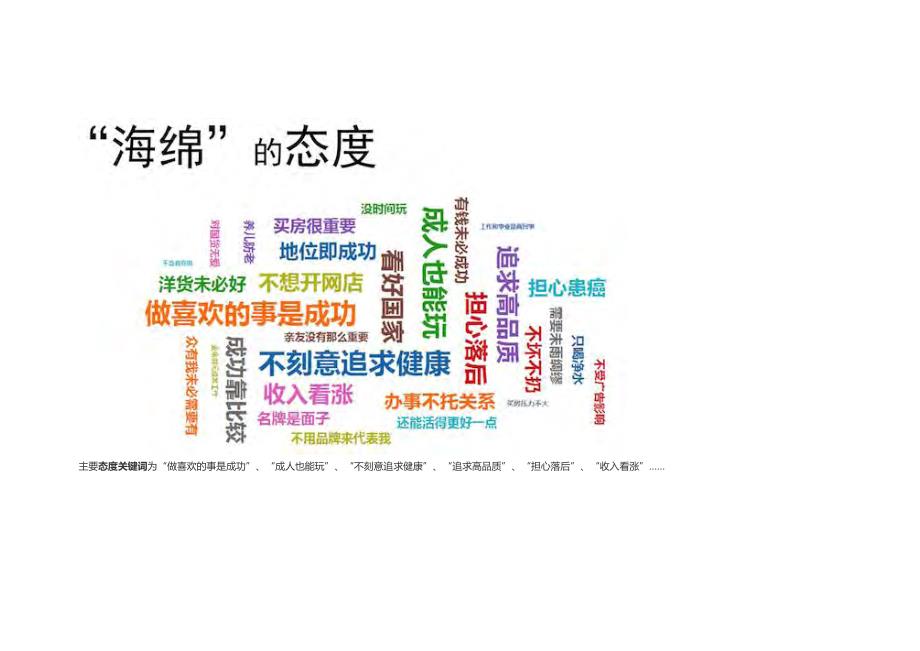 2013年中国城市消费者细分报告_第2页